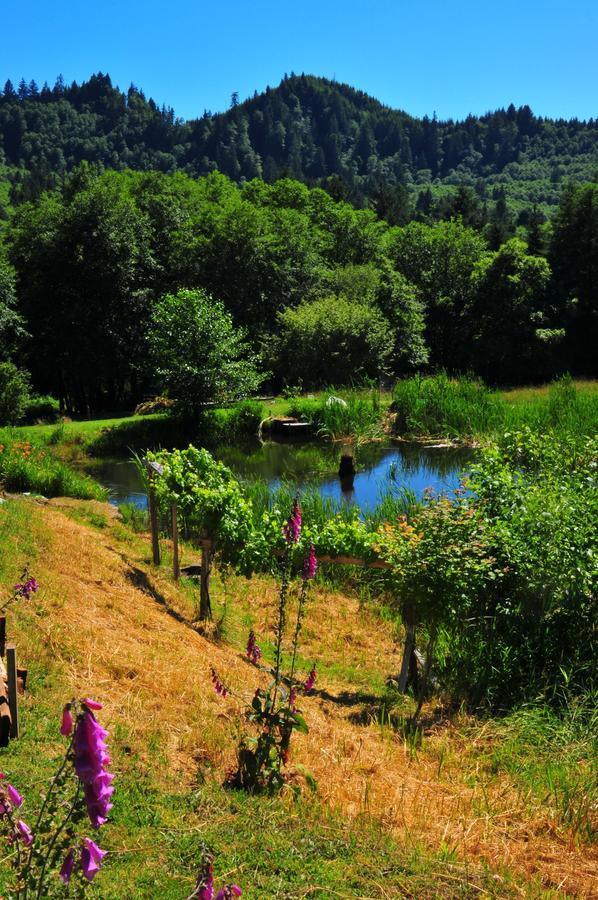 Skamokawa Lucky Mud Inn And Disc Golf Resort المظهر الخارجي الصورة